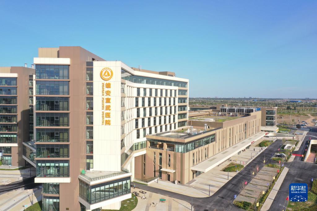 大鱼在线P443593
